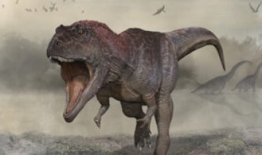 A newfound dinosaur had tiny arms before T. rex made them cool