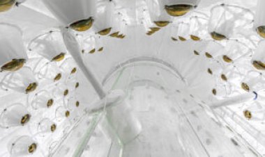 A supersensitive dark matter search found no signs of the substance — yet