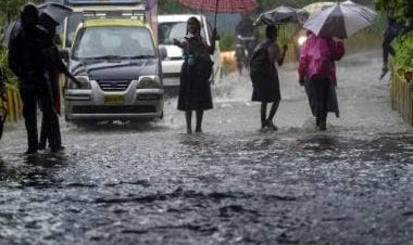 From dengue to typhoid, monsoon diseases are many; here's how to prevent them