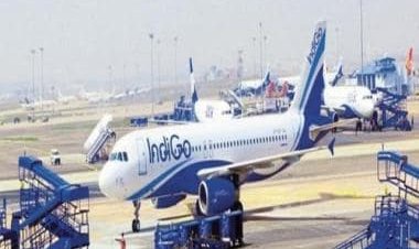 After crew, IndiGo technicians are calling in sick: What's going on?