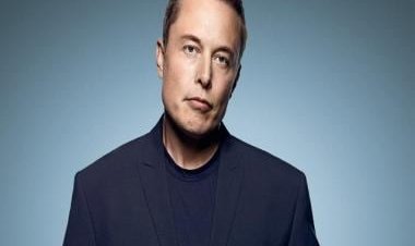 Explained: How Elon Musk's Twitter bid may have been a smokescreen to liquidate Tesla stocks