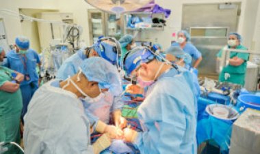 Two pig hearts were successfully transplanted into brain-dead people