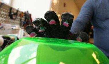 This octopus-inspired glove helps humans grip slippery objects