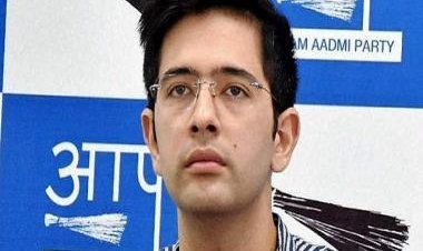 Why Opposition thinks Arvind Kejriwal is controlling Punjab via Raghav Chadha