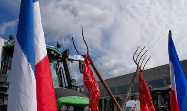 Why farmers' protests that kicked off in The Netherlands are spreading across Europe