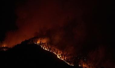 Explained: How and why wildfires are scorching Europe