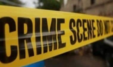 Sikkim Police personnel shoots dead 3 colleagues at Delhi's Haiderpur water treatment plant, later surrenders