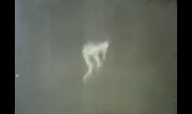 Watch: Mysterious pale figure caught on CCTV footage; paranormal enthusiasts debate over clip