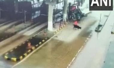 Watch: 4 dead after speeding ambulance crashes at toll booth in Karnataka