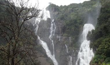 Watch: Stunning video of Dudhsagar Falls takes internet by storm