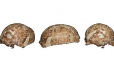 Ancient DNA links an East Asian Homo sapiens woman to early Americans