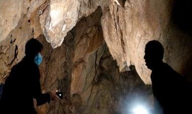 Watch: 'Endless river of bats' emerge from cave in Mexico; internet says 'Dracula on the move'