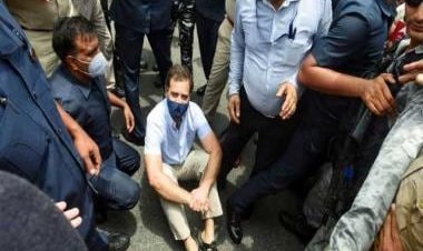 'India is a police state': Rahul Gandhi, Congress MPs detained for protest in Delhi