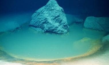 Explained: ‘Deathpools’ at bottom of the Red Sea that kill anything that swims into them