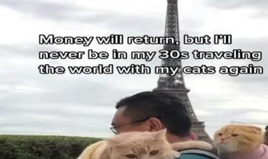 Watch: New York man travels world with his 3 cats; felines visit Paris, Times Square &amp; Venice