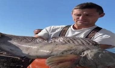 US fisherman catches monster wolf fish, here's what happened next