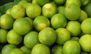 From curing dehydration to promoting healthy skin: Some health benefits of Mosambi