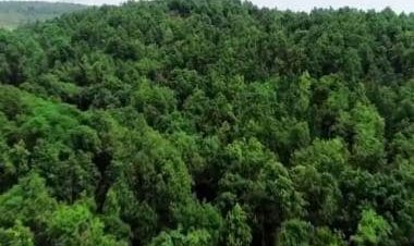World Nature Conservation Day 2022: Here's what you can do to conserve nature