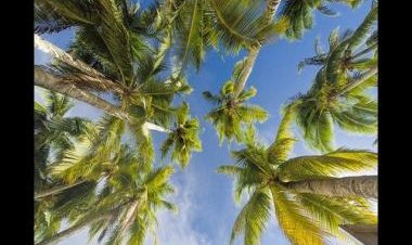World Nature Conservation Day 2022: Here are some inspiring quotes about preserving nature