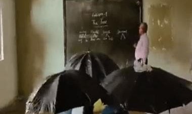 Watch: School students in MP hold umbrellas inside classroom as roof leaks, video goes viral