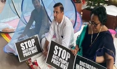 50-hour protest: Mosquito nets out, fish fry on the menu in agitation outside Parliament