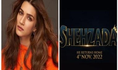 Team Shehzada celebrates Kriti Sanon's birthday and did wrap up party for the film