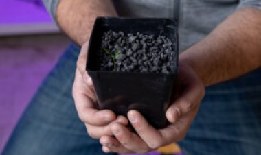 Astronauts might be able to use asteroid soil to grow crops