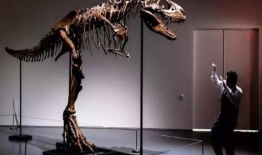 The lost world: Why do people spend millions on dinosaur skeletons?