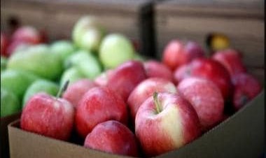 Nutritionist Lovneet Batra lists five healthy foods to add to your diet if you have diabetes or prediabetes