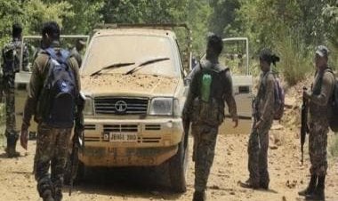 World Ranger Day 2022: From history to significance, here's all you need to know
