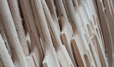 In Photos: How Kashmir willow bats are made and why GI tagging them could help in its rise