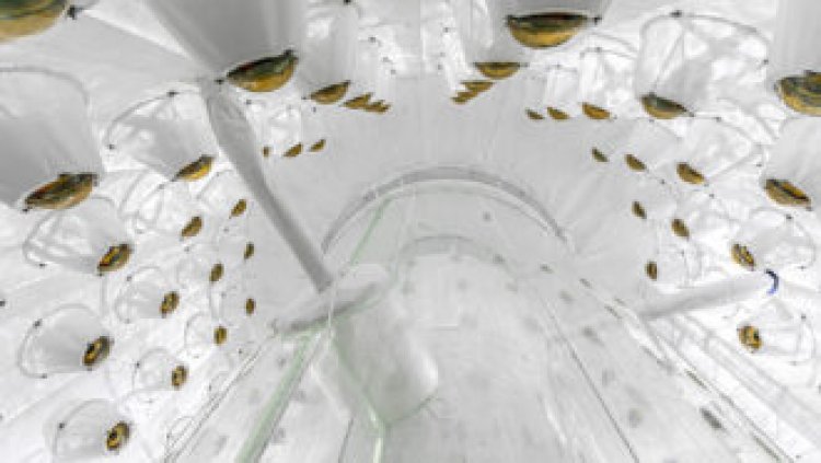 A supersensitive dark matter search found no signs of the substance — yet