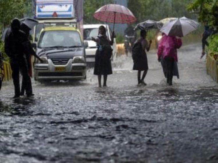 From dengue to typhoid, monsoon diseases are many; here's how to prevent them