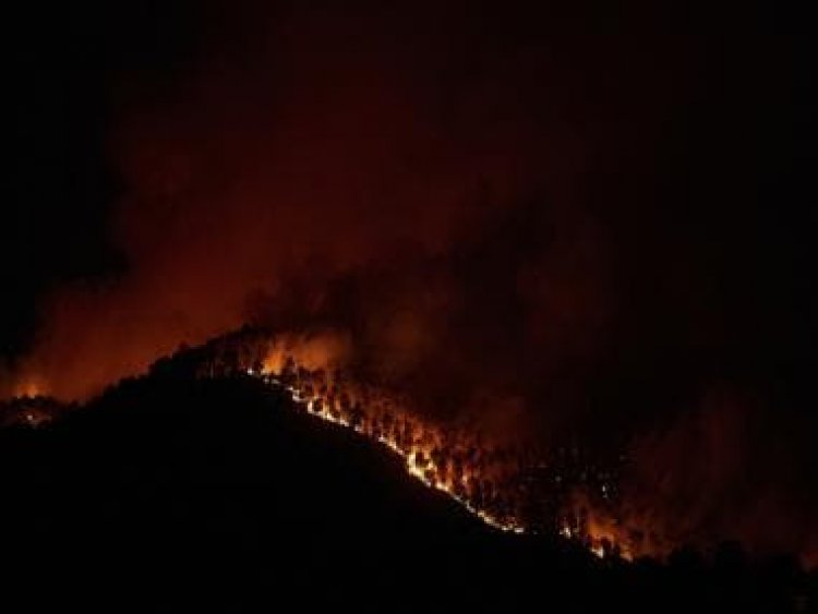 Explained: How and why wildfires are scorching Europe