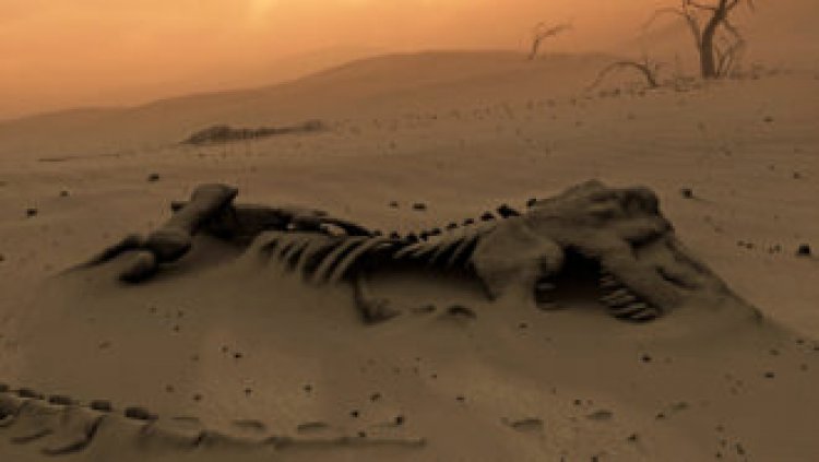 50 years ago, the dinosaurs’ demise was still a mystery 