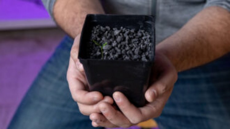 Astronauts might be able to use asteroid soil to grow crops