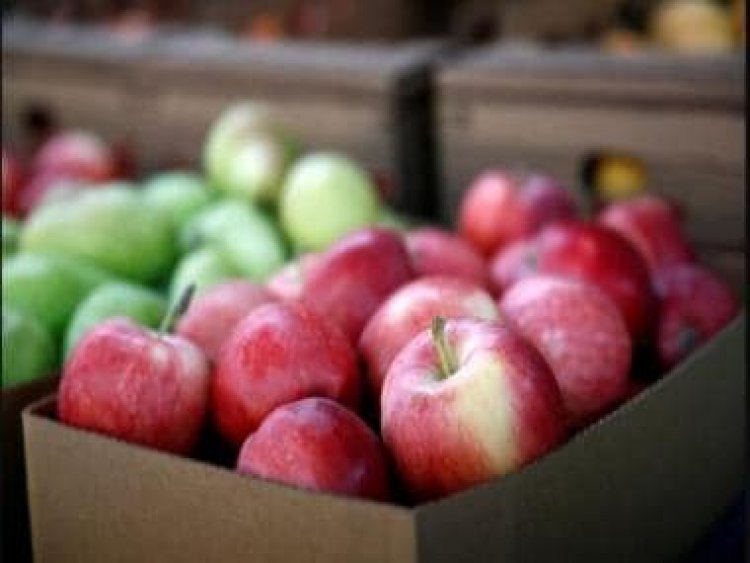 Nutritionist Lovneet Batra lists five healthy foods to add to your diet if you have diabetes or prediabetes