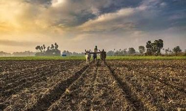 The Weather Report: Rainfall anomaly hits Kharif crops sowing in Bihar despite good monsoon progress