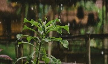 From outdoor furniture to bright room colours: Here are 5 home decor ideas for monsoon