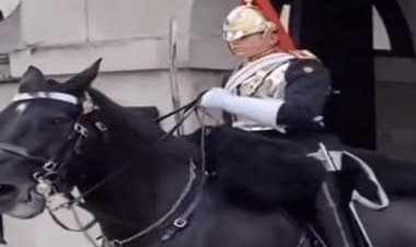 Queen's horse guard shouts at tourist taking photo, watch video