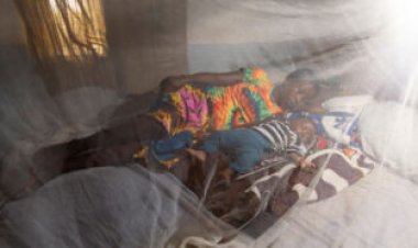 A shot of immune proteins may protect against malaria for months