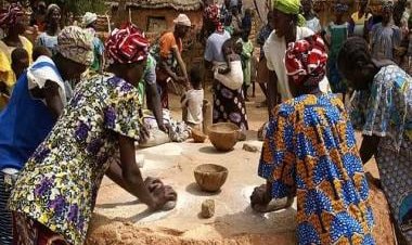 Why millets are key to addressing gluten grievances and managing Celiac disease