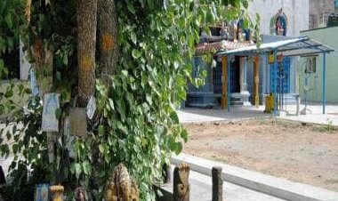 Tamil Nadu's Thalavetti Muniyappan Temple is Buddhist site, says Madras HC; halts further pooja