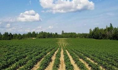 How freebie culture is a passport to economic disaster — and solution has to be political