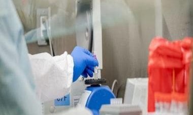 China develops another novel virus; 35 cases reported already