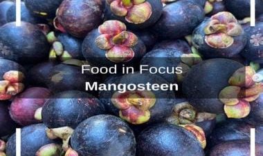 Include this fruit packed with antioxidant, anti-cancerous properties in your diet