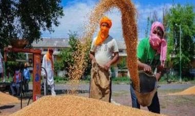 From facing food shortages to an becoming exporter: 75 years of India's independence
