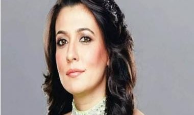Mini Mathur: 'For me, the excitement is to create, write and direct a film'