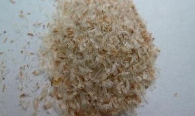 Here are some benefits and uses of Psyllium or Isabgol