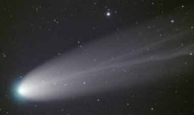 Oort cloud comets may spin themselves to death